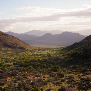 namaqua landscape